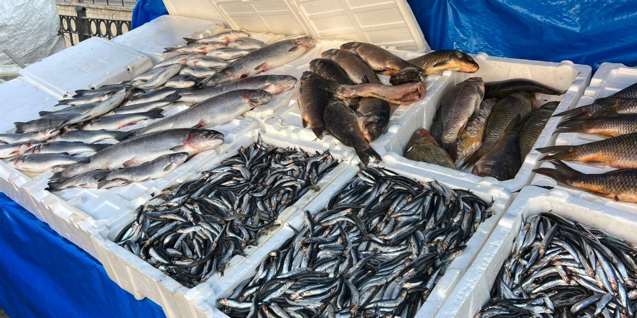 Yüksekova’da balık sezonu açıldı