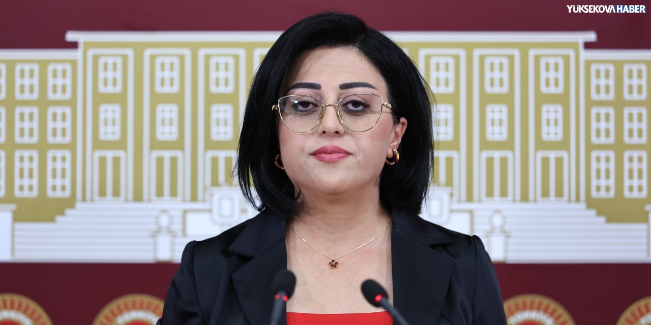 Başkale’de vatandaşla jandarma arasında yaşanan olay meclis gündeminde