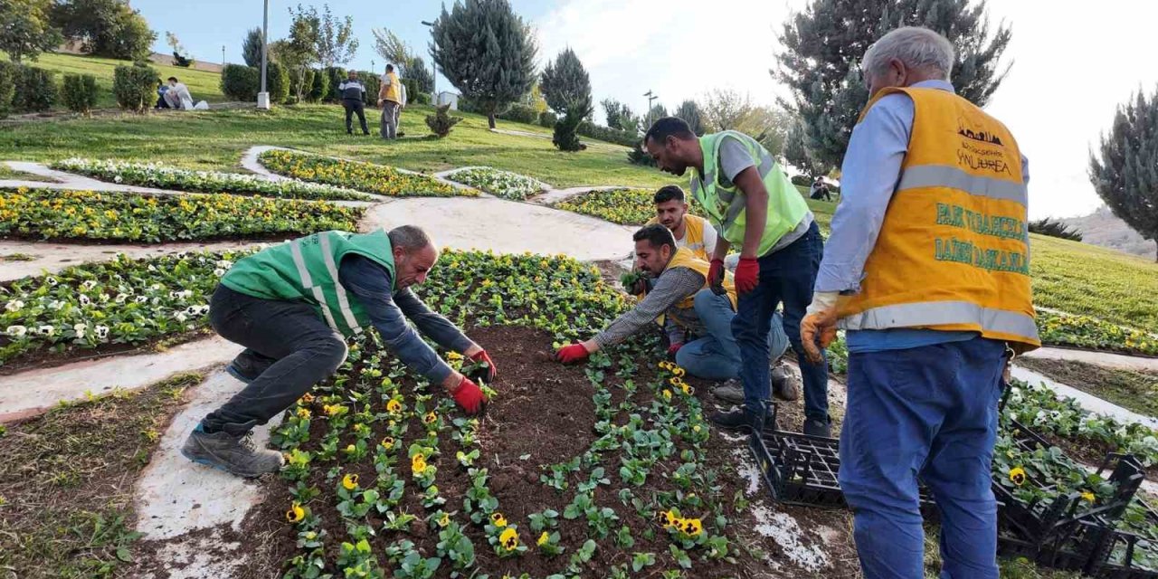 Şanlıurfa Büyükşehir Belediyesi 400 bin çiçeği toprakla buluşturdu