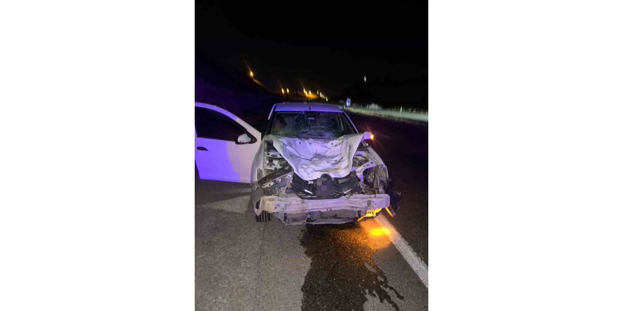 Kurtalan'da otomobilin çarptığı at telef oldu