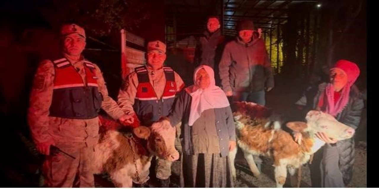 Ardahan'da jandarma çalınan hayvanları sahibine teslim etti