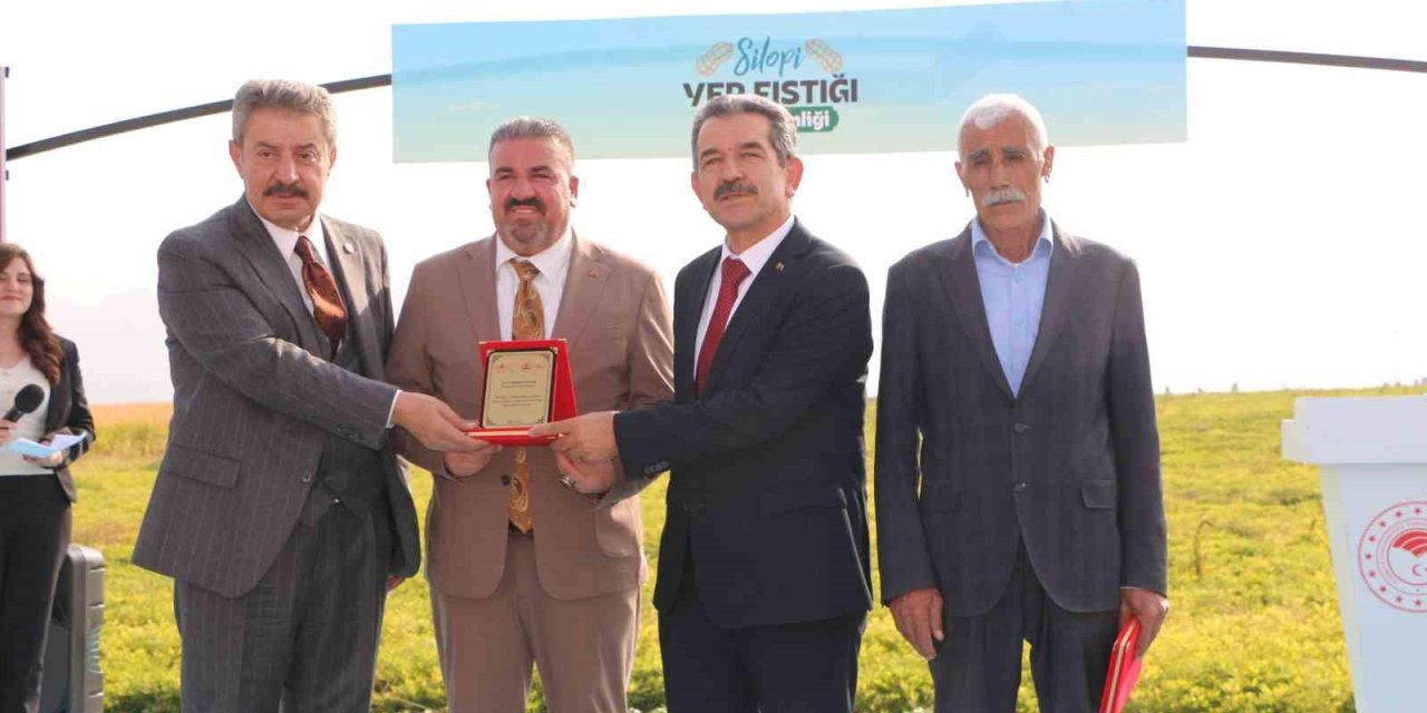 Şırnak’ta 25 bin ton yer fıstığı rekoltesi bekleniyor