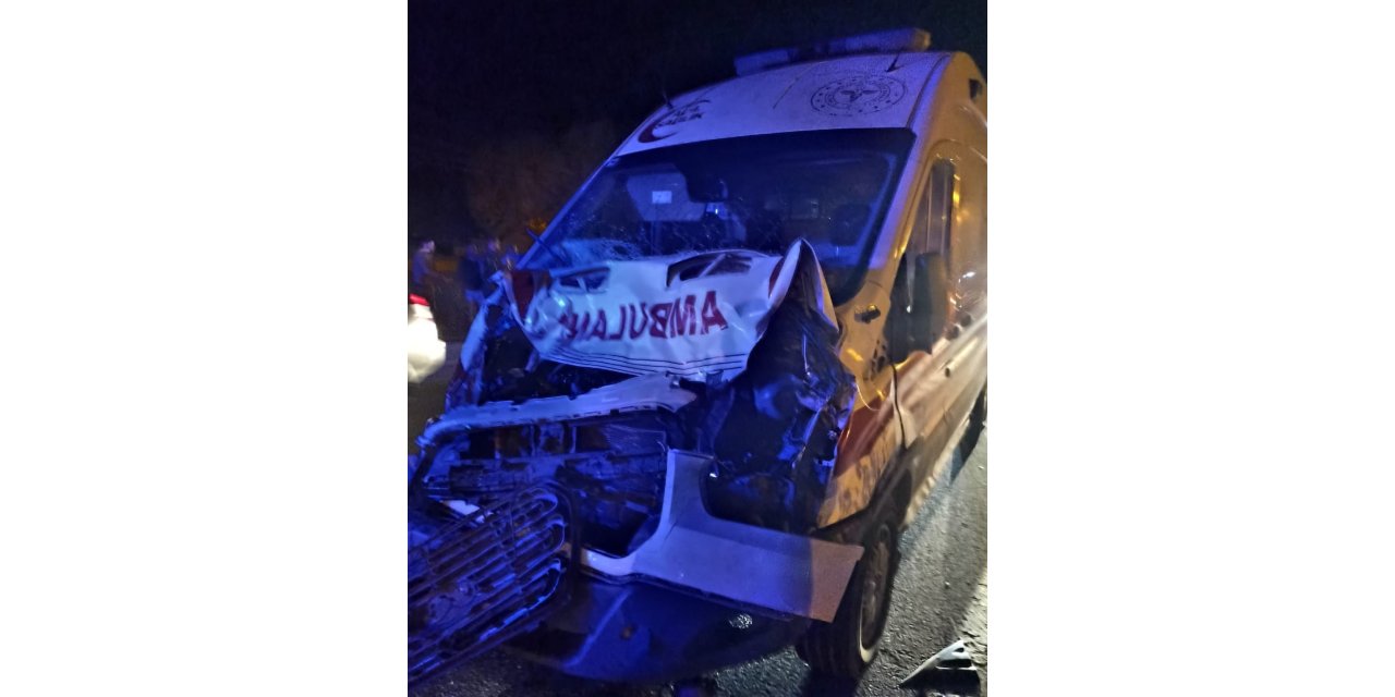Muş'tan Van'a hasta taşıyan ambulans mandaya çarptı