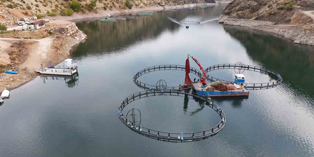 Diyarbakır’da 500 ton kapasiteli tesisten dünyaya somon gönderilecek