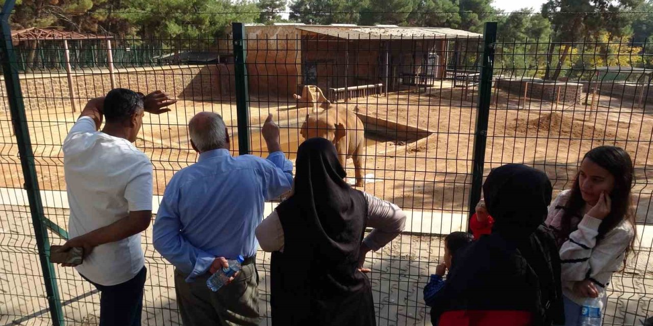 Gaziantep'te ara tatile çıkan öğrenciler soluğu hayvanat bahçesinde aldı