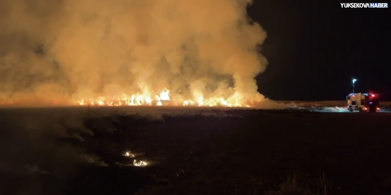 Yüksekova Nehil Sazlığı bir kez daha alevlere teslim oldu