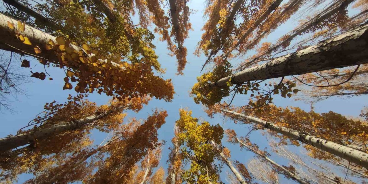 Van’ın sonbahar güzelliği