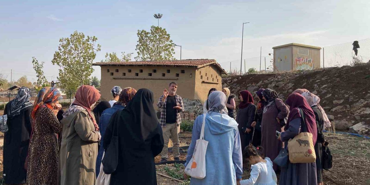 Kadınlar tıbbi ve aromatik bitkileri yerinde tanıdı