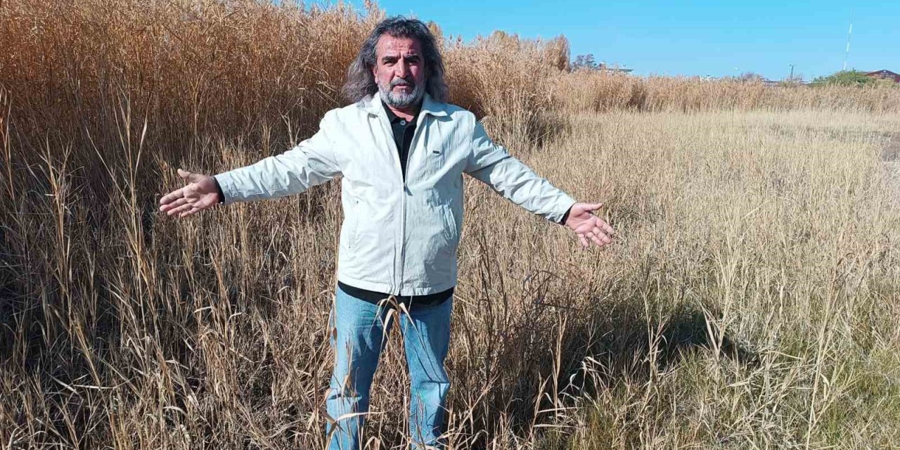 Prof. Dr. Lokman Aslan: Sulak alanlar tabiatın rahimleridir