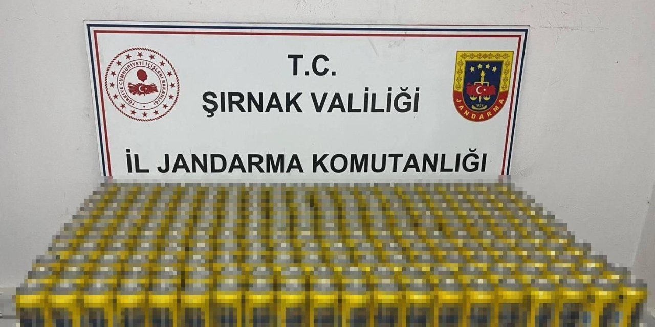 Şırnak’ta jandarmadan kaçakçılık ve uyuşturucu operasyonu