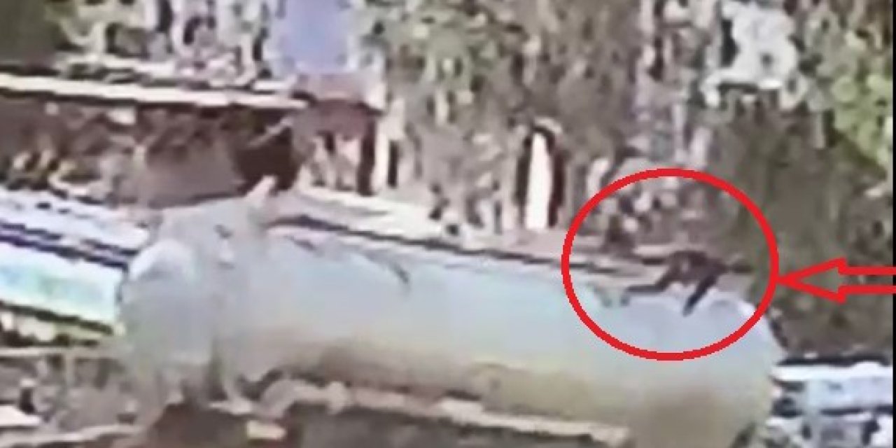Silopi'de tanker değişimi sırasında vinç halatının kopma anı güvenlik kamerasına yansıdı: 2 yaralı