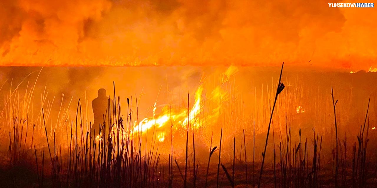 Nehil Sazlığındaki yangınlar ekosisteme geri dönülmesi zor zararlar veriyor