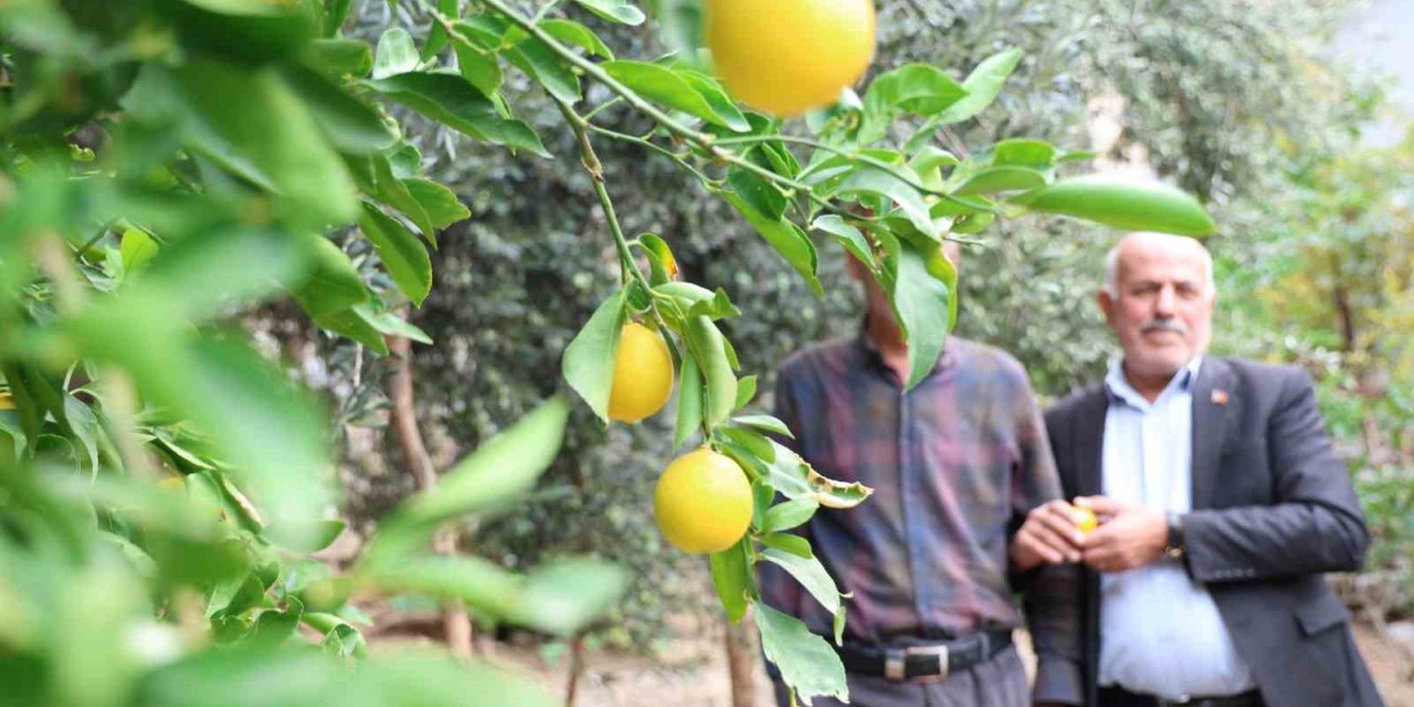 Çüngüş'ün bu köyünde ne eksen onu biçiyorsun