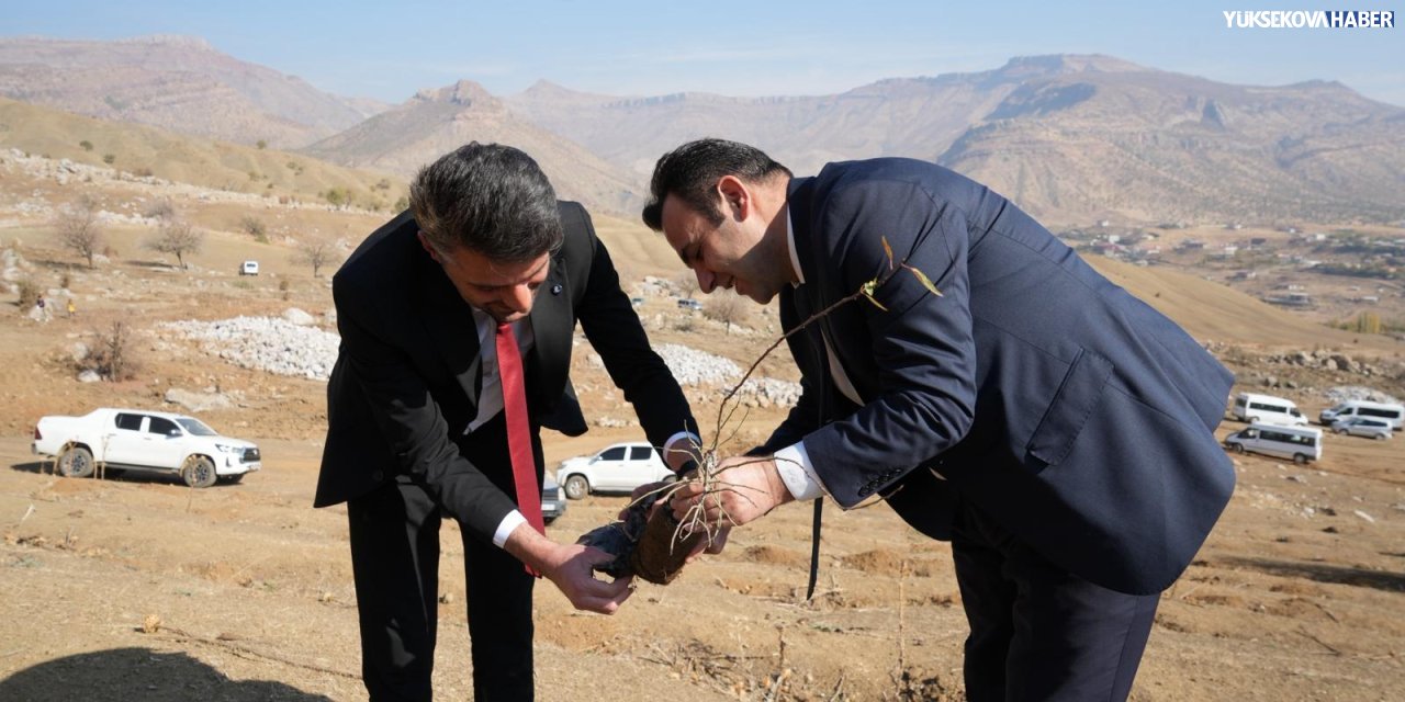 Derecik’te ağaçlandırma gününde 500 fidan dikildi