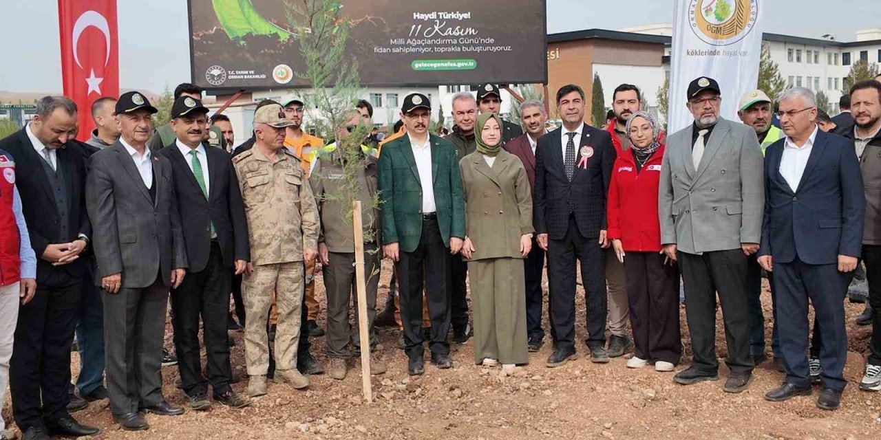 Siirt’te binlerce fidan toprakla buluştu