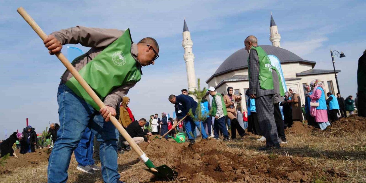 Erzurum’da 3 bin fidan dikildi