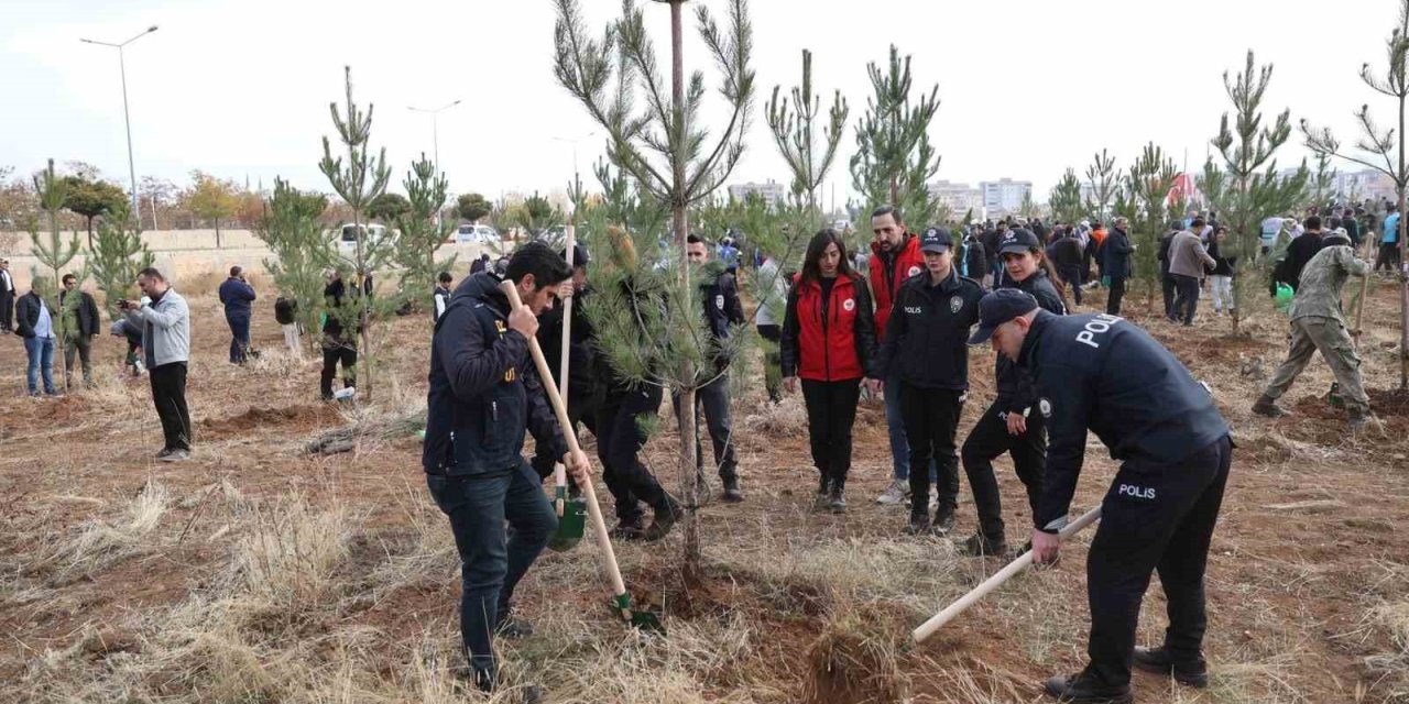 Muş’ta 20 bin fidan dikildi
