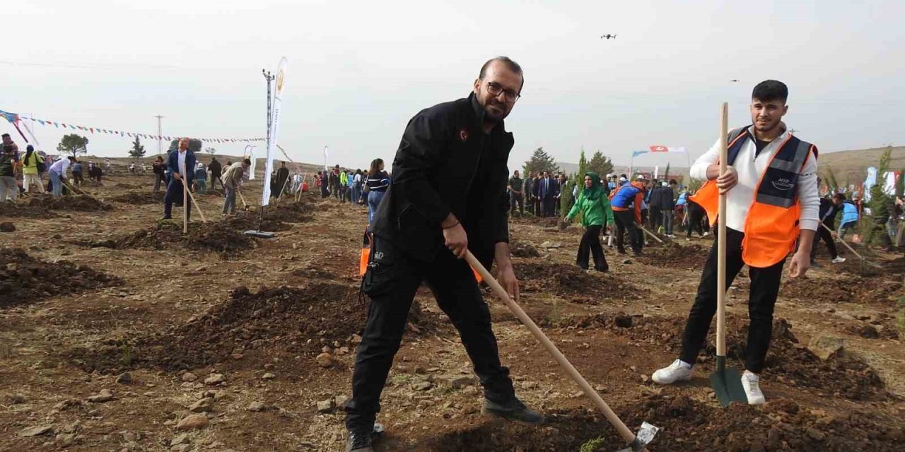 Kilis’te binlerce fidan dikildi