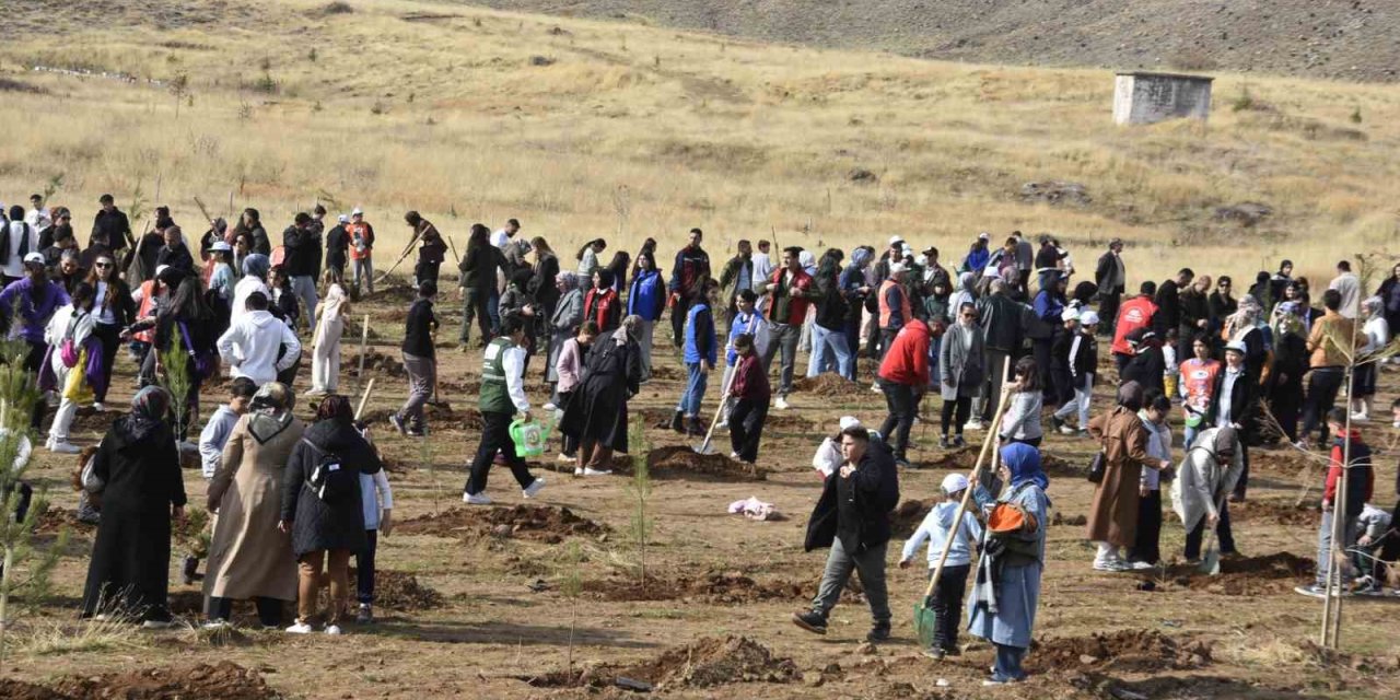 Bitlis’te ağaçlandırma seferberliği
