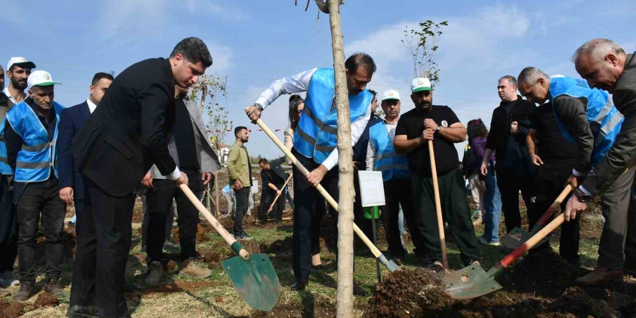 Siverek’te yüzlerce fidan dikildi