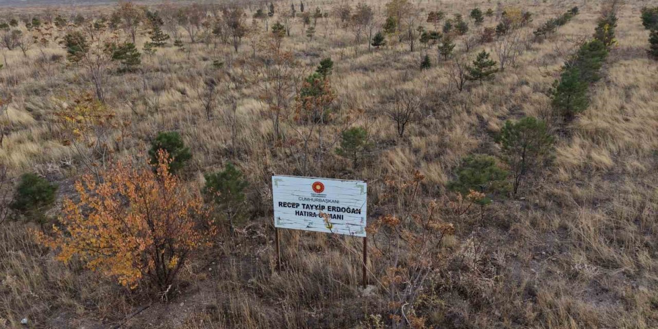 Iğdır’da fidan dikim etkinliği