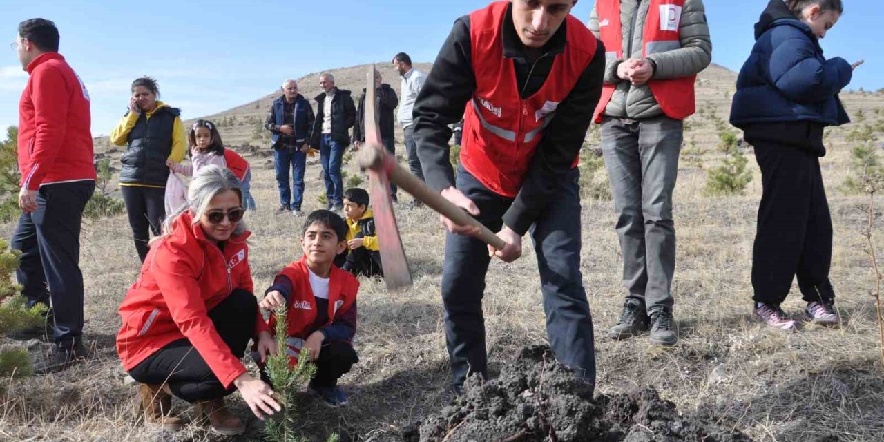 Kars’ta 5 bin 500 fidan dikildi