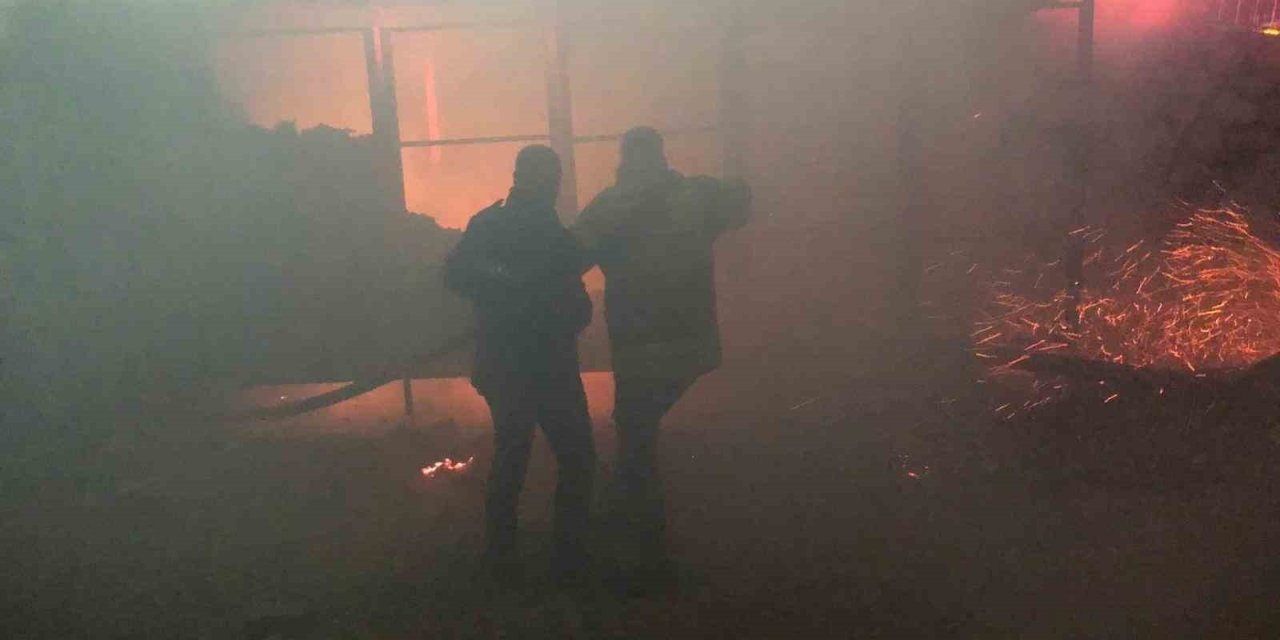 Adıyaman'ın Besni ilçesinde konteyner yangını korkuttu