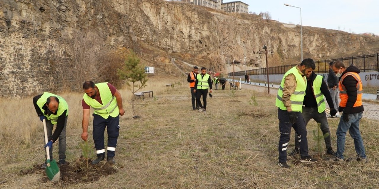 Ardahan’da ağaç dikme etkinliği