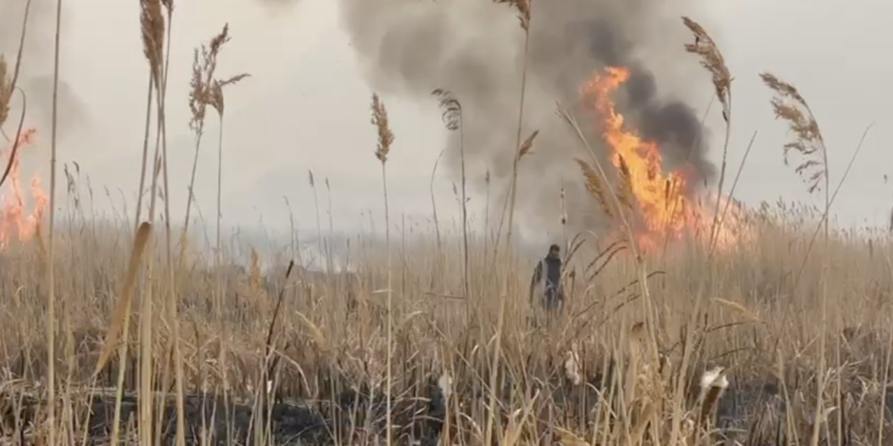 Kuş cennetindeki yangın devam ediyor