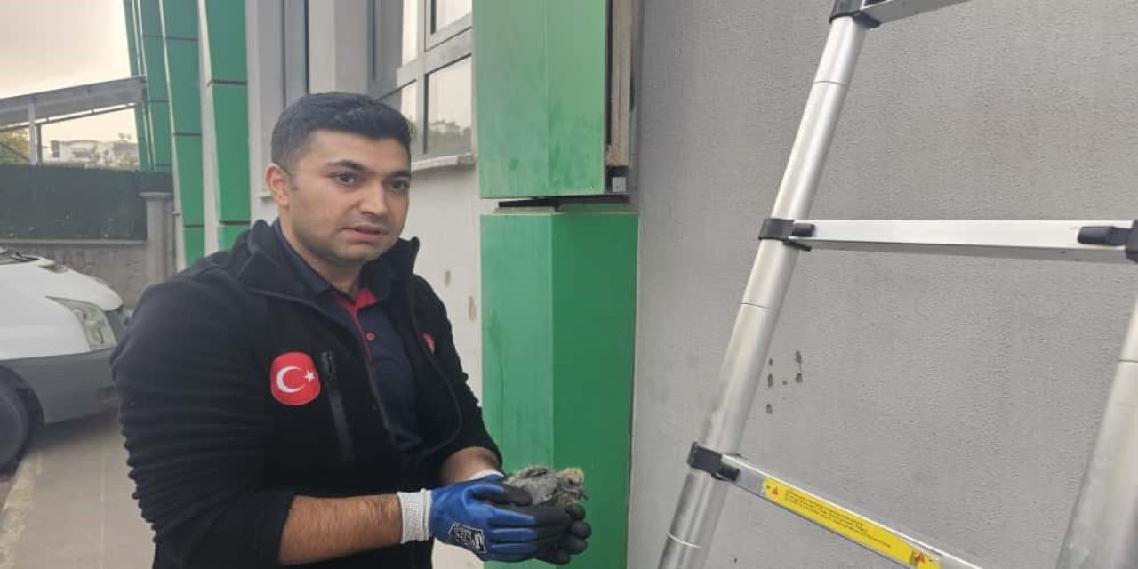 Kolonlara sıkışan kuş kurtarıldı