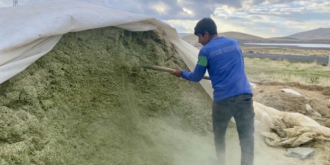Ağrı’da besiciler kış hazırlıklarına başladı