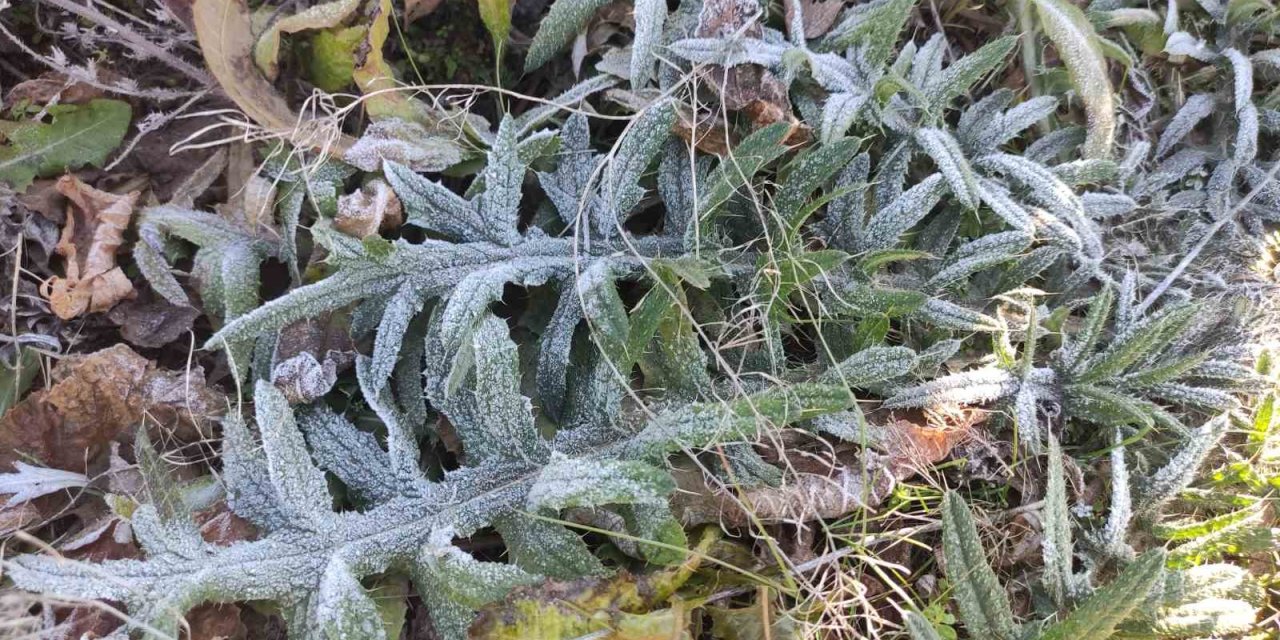 Ardahan’ın Göle ilçesi Türkiye’nin en soğuk yerleşim yeri oldu
