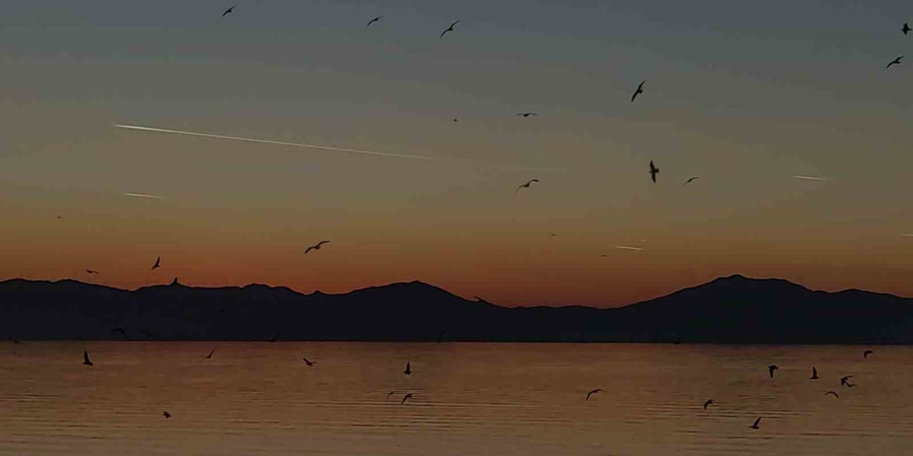 Van Gölü üzerinde kuş sürüsünün görsel şöleni