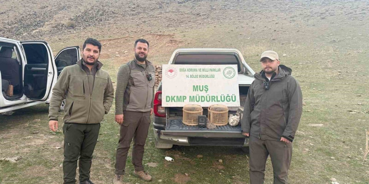 Muş'ta kafes avcılığı yapan şahıs suçüstü yakalandı: 20 bin TL ceza