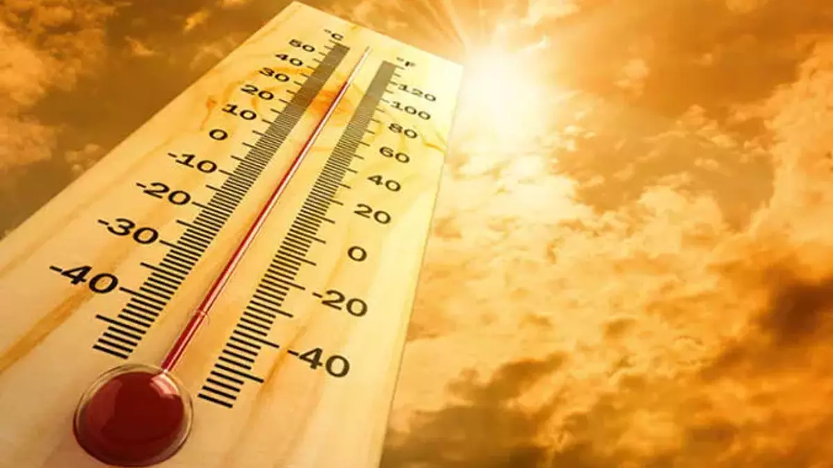 Ekimde en yüksek sıcaklık Cizre'de tespit edildi