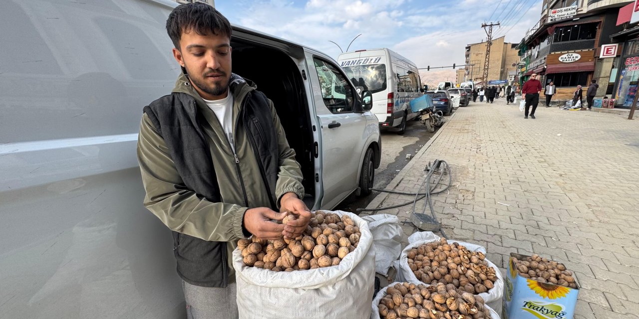 Yüksekova’da Adilcevaz cevizinin tenekesi 1600 liradan satılıyor