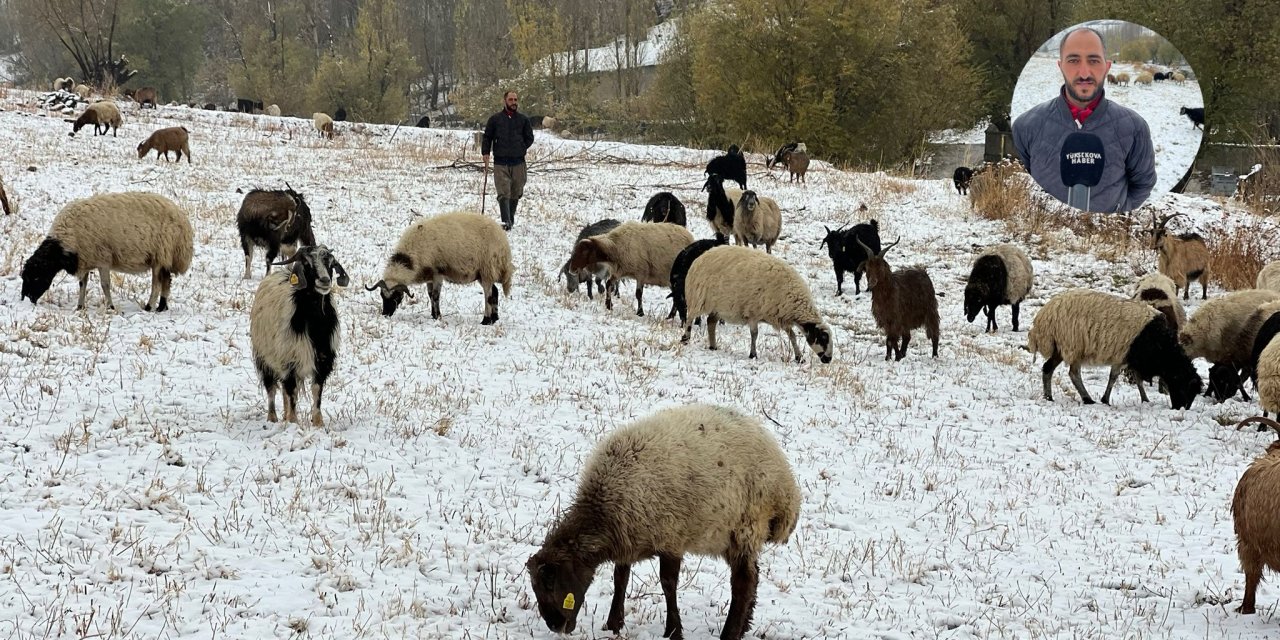 Yüksekova’ya mevsimin ilk karı düştü