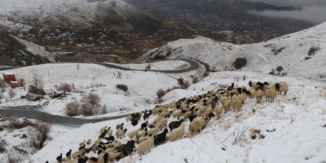 Aniden başlayan kar çobanları hazırlıksız yakaladı