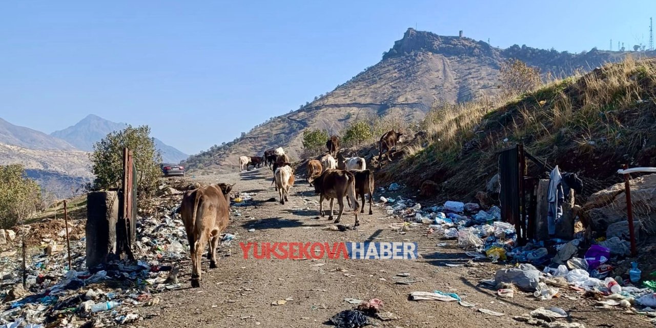 Derecik’te çöp tepkisi: “Çöplük alanı taşınsın veya ıslah edilsin”