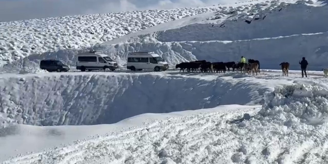 Muş’ta yoğun kar yağışı etkili oldu