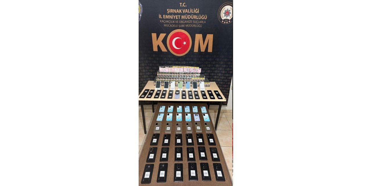 Şırnak’ta 2 milyon liralık kaçak ürün ele geçirildi