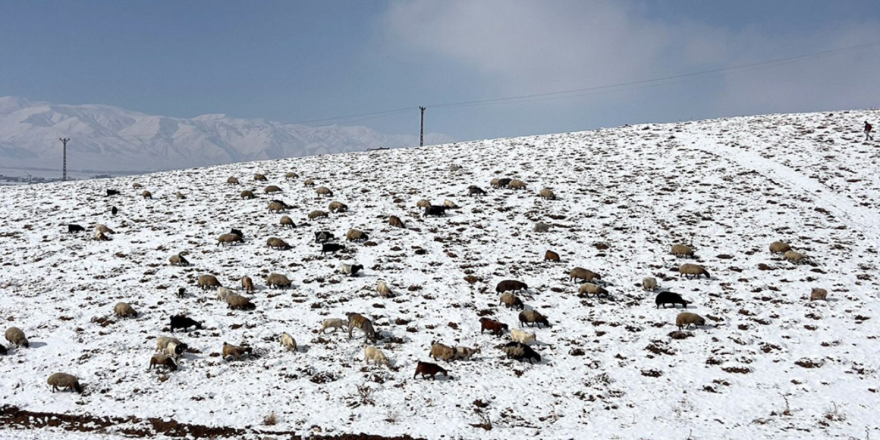 Yüksekova'da besicilerin kar altında zorlu mesaisi