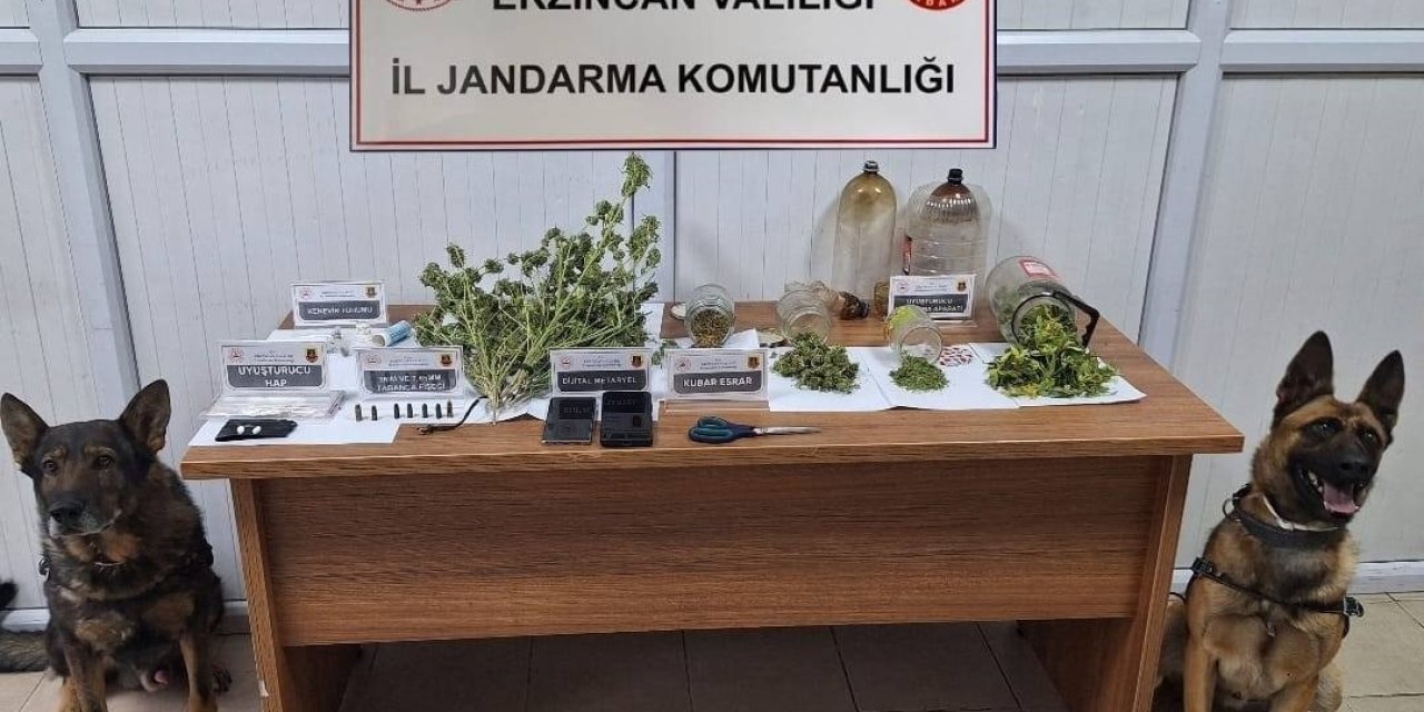 Erzincan'da jandarma Kasım ayı bilançosu: 124 olayın yüzde 93’ü aydınlatıldı