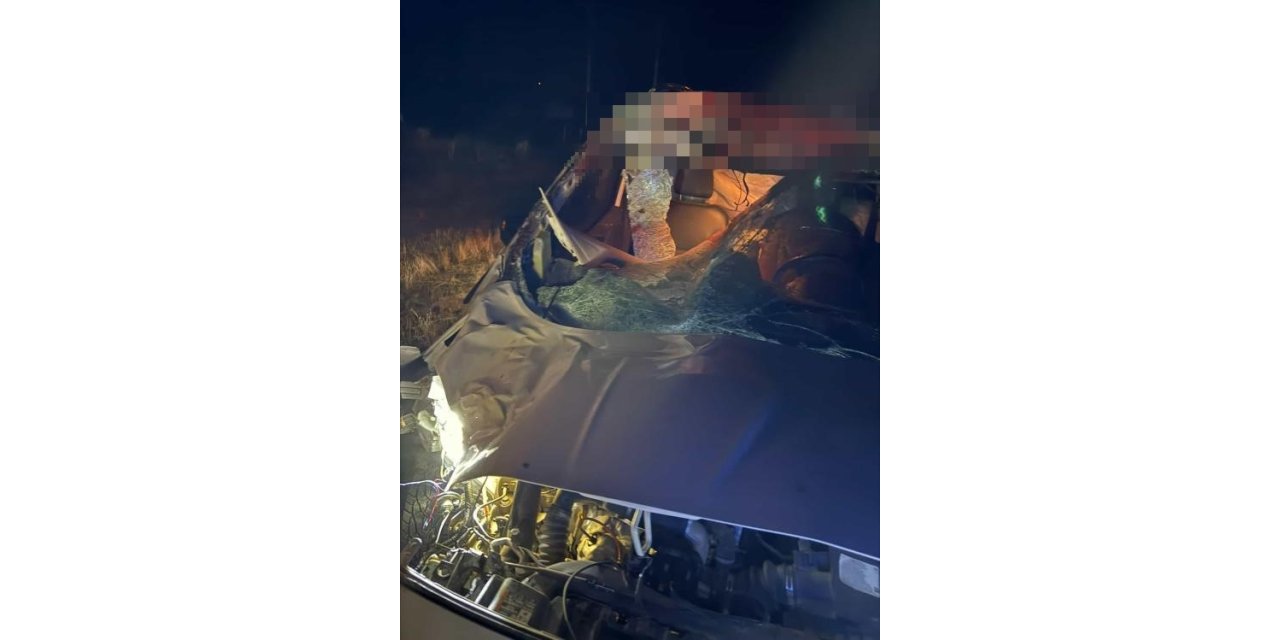 Muş’ta hafif ticari araç ata çarptı: 2 kişi yaralandı