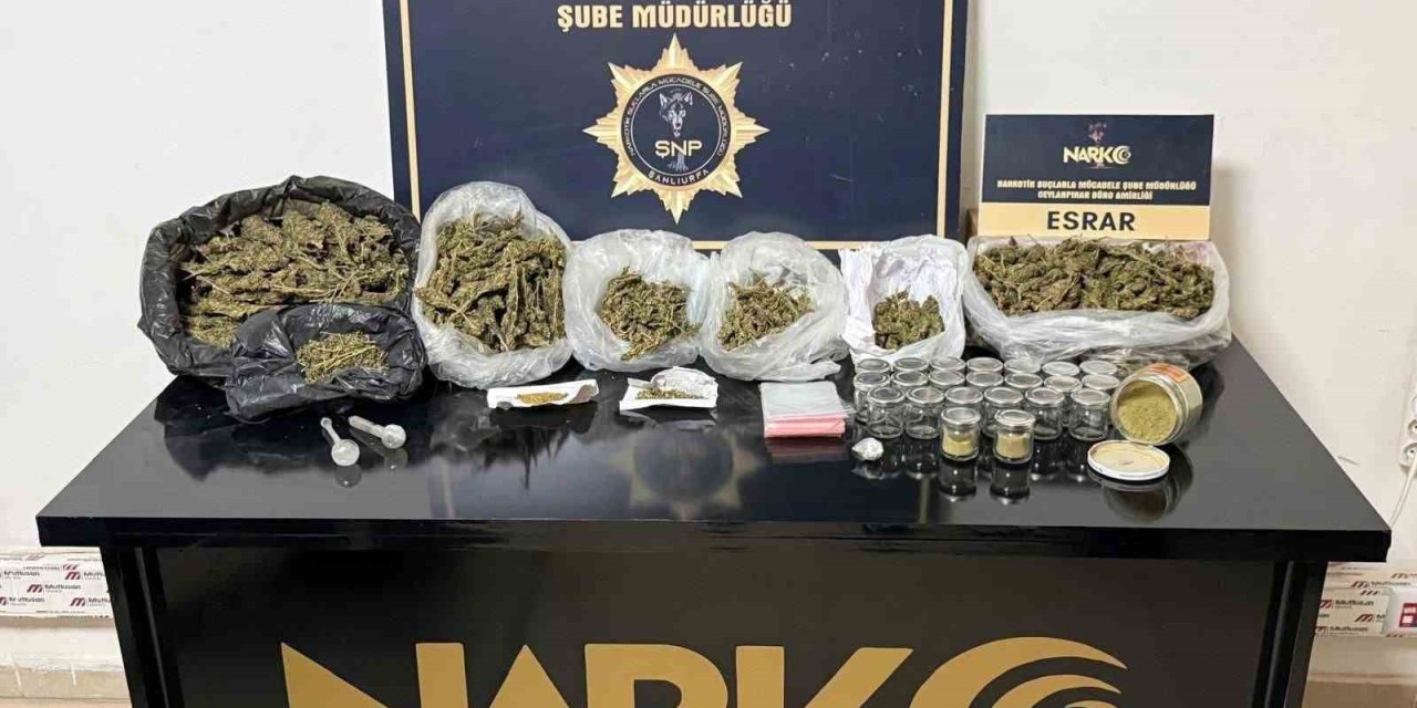 Ceylanpınar’da uyuşturucu operasyonunda 1 tutuklama