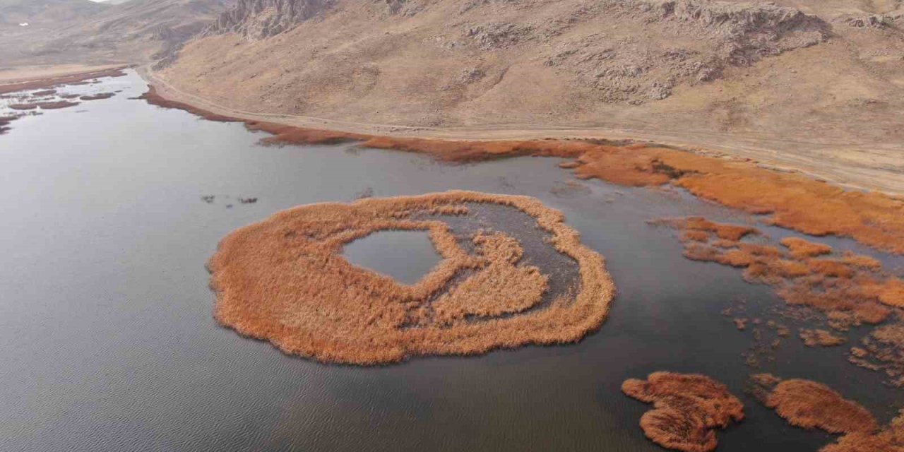 Van’daki Keşiş Gölü’nde su seviyesi endişe veriyor