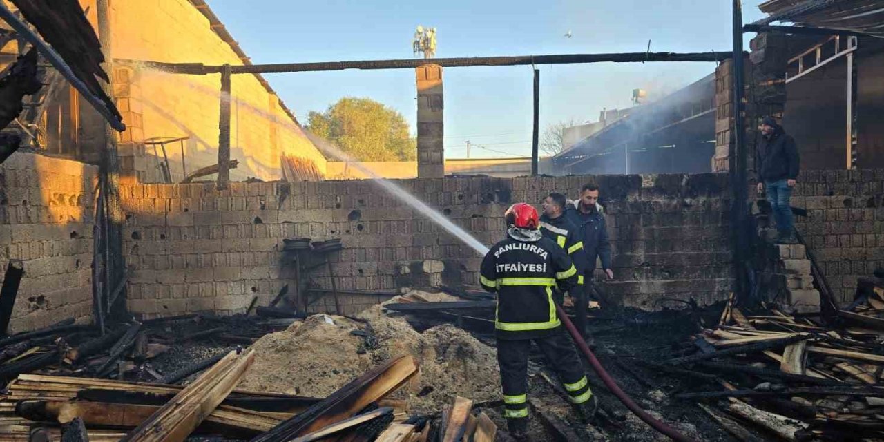Şanlıurfa’da iş yerinde yangın
