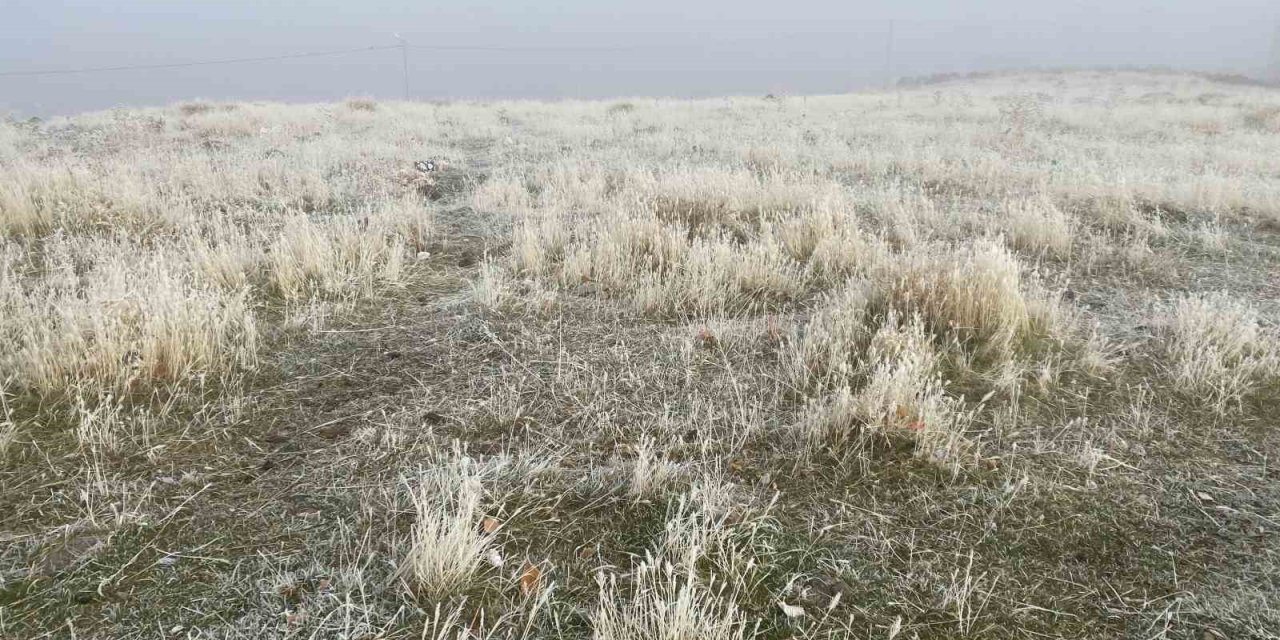 Ağrı’da kırağı etkili oldu