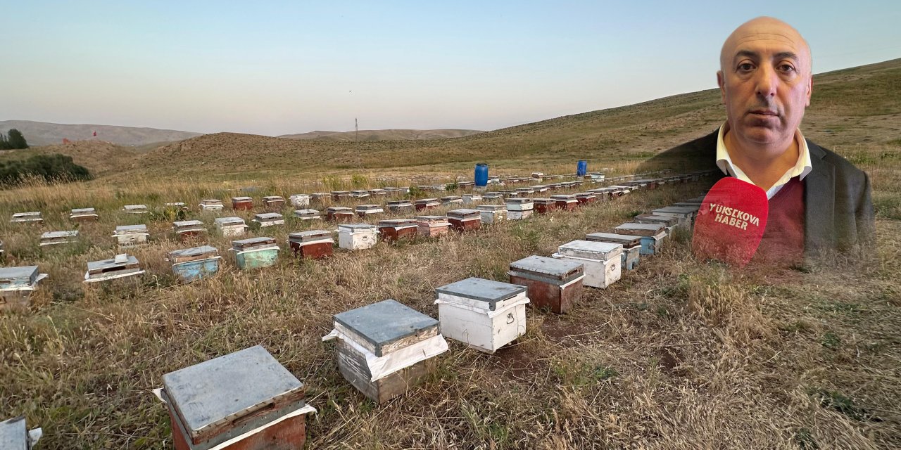 Yüksekova’da arıcılar kovanlarını daha sıcak bölgelere taşıyor