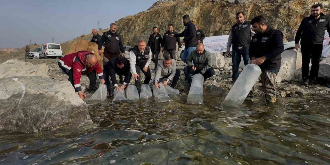 Elazığ'da Karakaya Baraj Gölü’ne 420 bin yavru balık bırakıldı